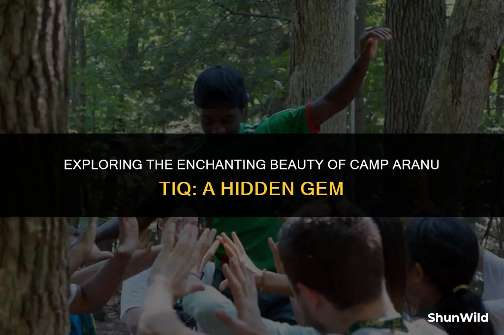 where is camp aranu tiq