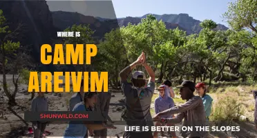 Exploring the Enchanting Wilderness of Camp Areivim: A Journey Unveiled