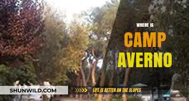Unveiling the Mystery: Where is Camp Averno Located?