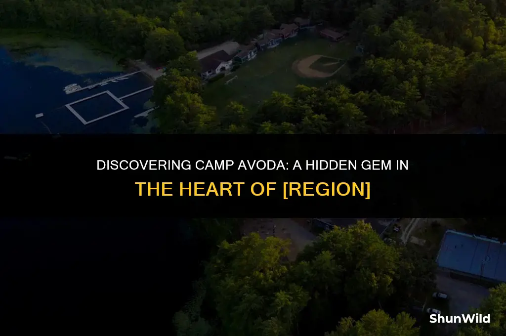 where is camp avoda located