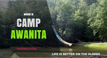 Exploring the Enchanting Wilderness of Camp Awanita: A Journey Guide