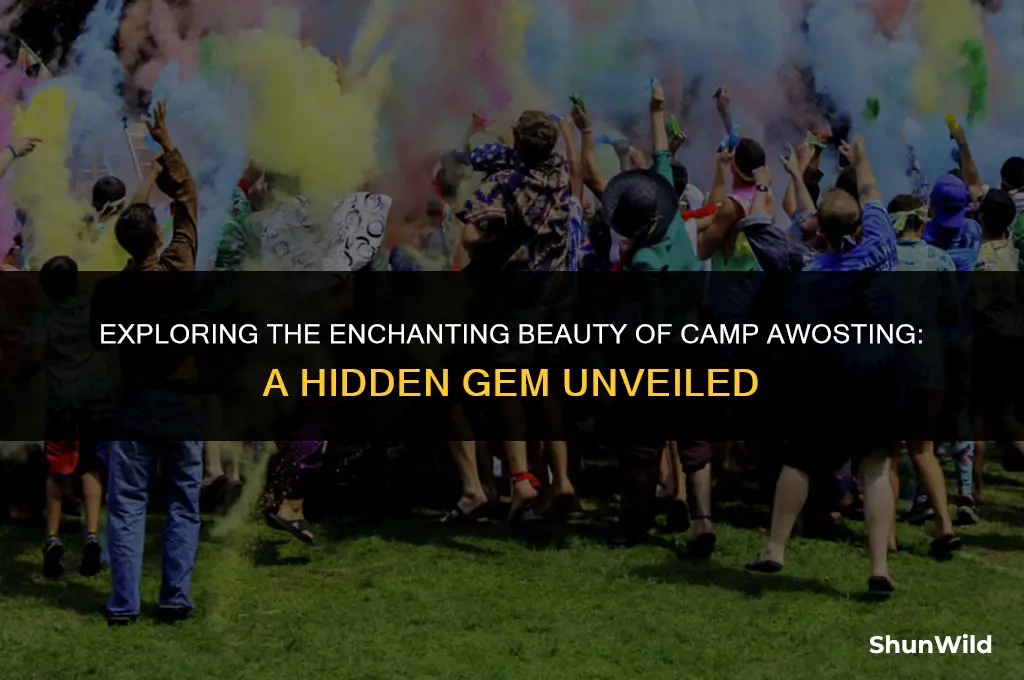 where is camp awosting