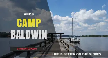 Exploring the Enigmatic Camp Baldwin: A Journey into the Unknown