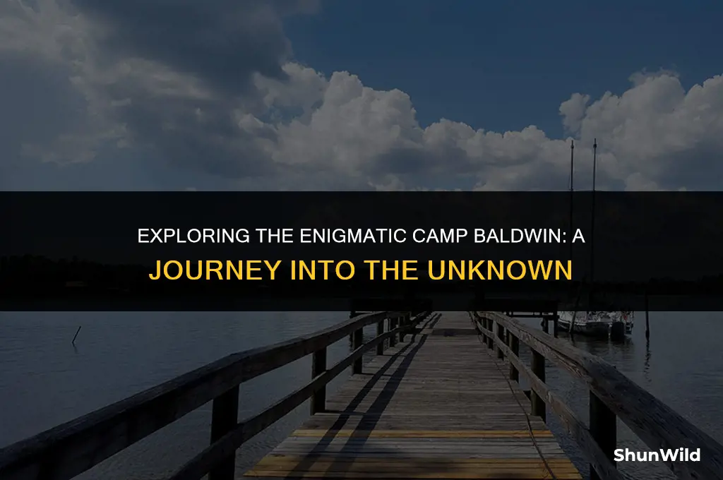 where is camp baldwin
