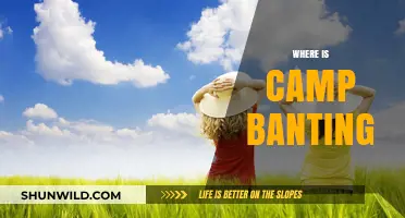 Exploring the Historic Camp Banting: A Journey to the Birthplace of Insulin