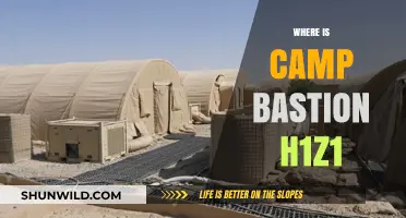 Unveiling Camp Bastion: A H1Z1 Player's Ultimate Guide