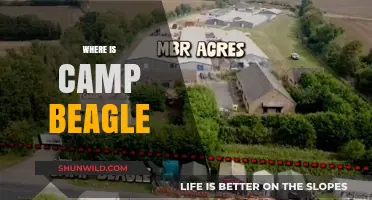Unveiling the Mystery: Where is Camp Beagle Located?