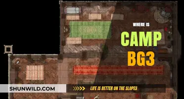 Unveiling the Mystery: Where is Camp BG3 Located?