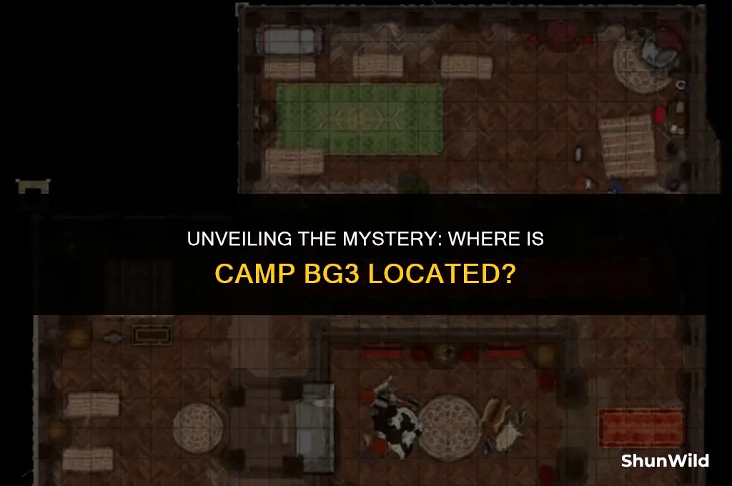 where is camp bg3