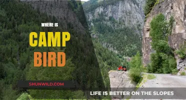 Exploring the Enchanting Wilderness of Camp Bird: A Nature Lover's Guide