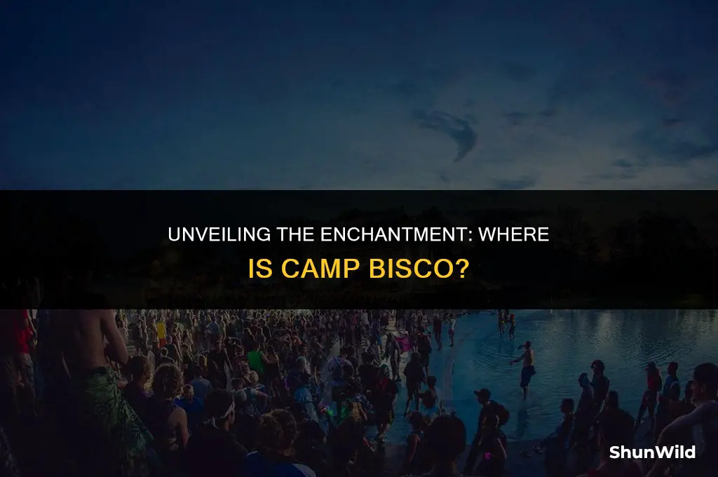where is camp bisco