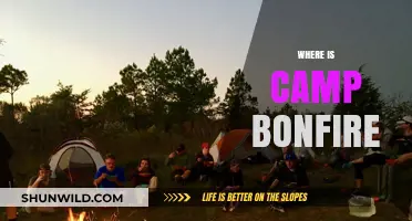 Discovering Camp Bonfire: Your Ultimate Guide to Location and Adventure