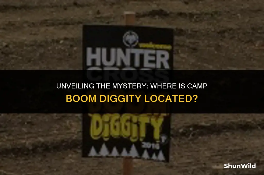 where is camp boom diggity