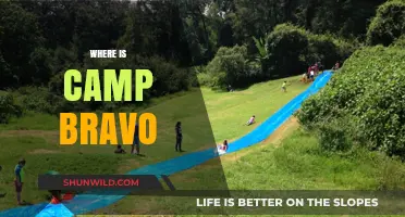 Unveiling the Mystery: Where is Camp Bravo Located?