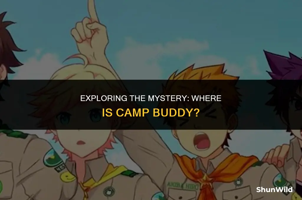 where is camp buddy
