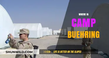 Unveiling the Mystery: Where is Camp Buehring Located?