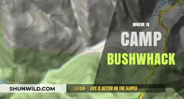 Exploring the Myths: Unveiling the Mystery of Camp Bushwhack's Location