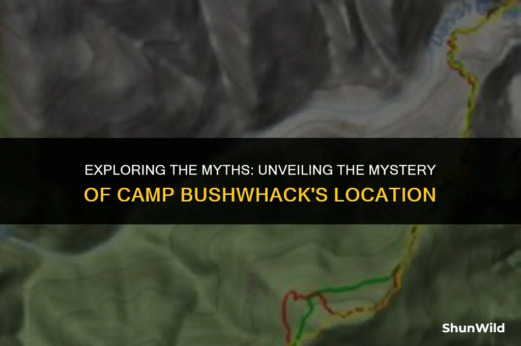 where is camp bushwhack