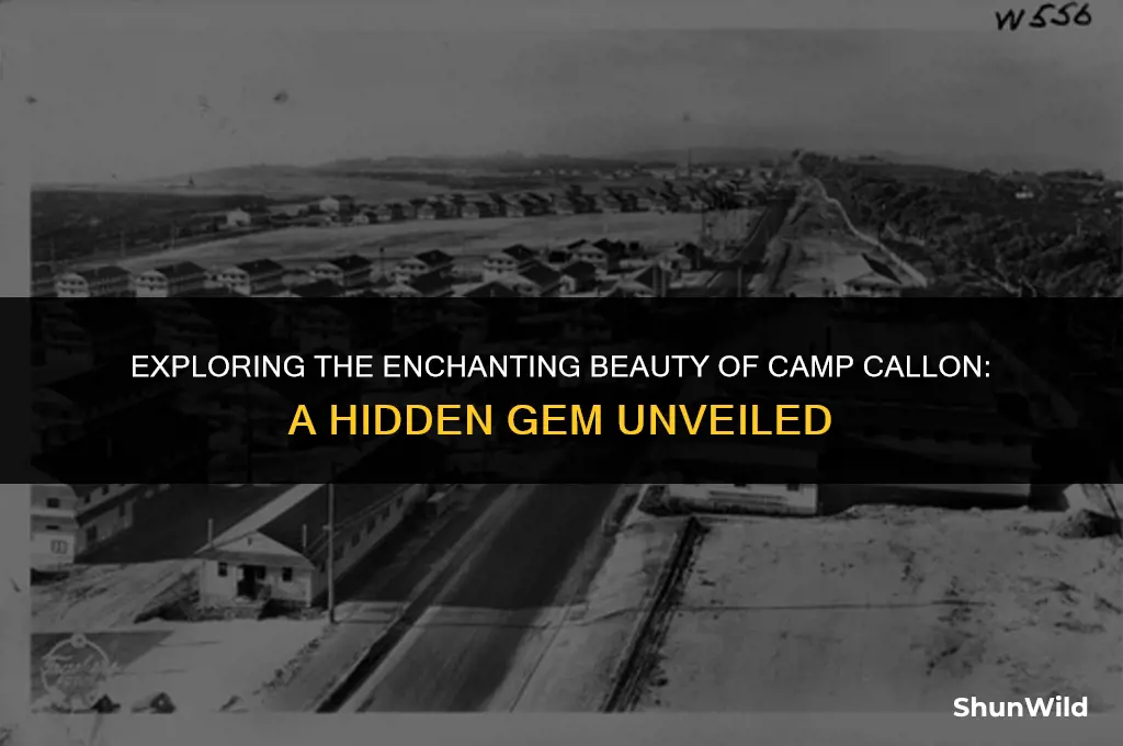 where is camp callon