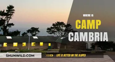 Exploring the Hidden Gem: Camp Cambria's Secret Location Revealed
