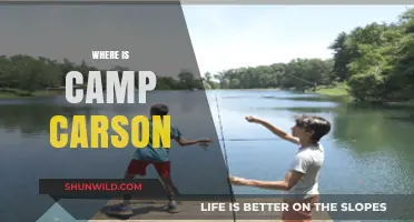 Unveiling the Mystery: Where is Camp Carson Located?