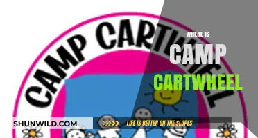 Unveiling the Mystery: Where is Camp Cartwheel Located?