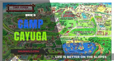 Exploring the Hidden Gem: Camp Cayuga's Scenic Location Unveiled