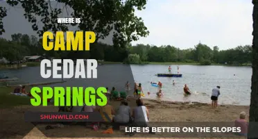 Discovering the Hidden Gem: Camp Cedar Springs' Secret Location