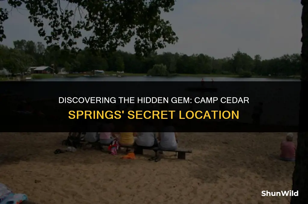 where is camp cedar springs