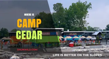 Exploring the Enchanting Wilderness of Camp Cedar: A Hidden Gem Unveiled