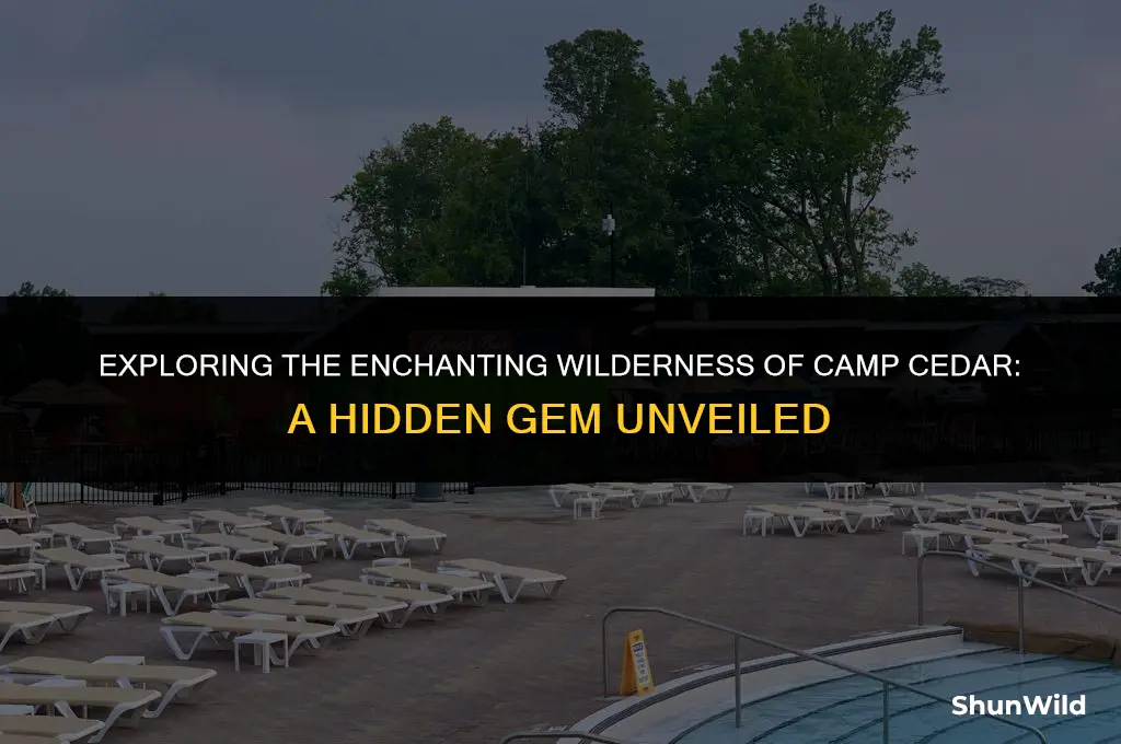 where is camp cedar