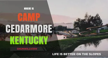 Discovering Camp Cedarmore: Kentucky's Hidden Gem for Outdoor Enthusiasts