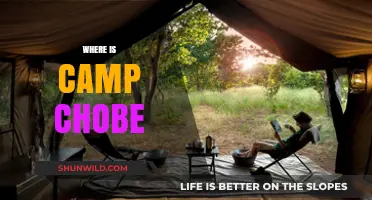 Exploring the Untamed Beauty: Where is Camp Chobe Located?