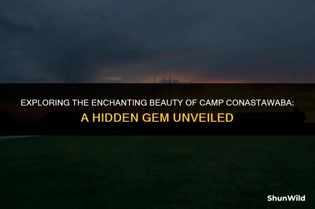 where is camp conastawaba