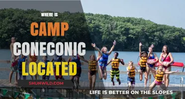 Exploring the Enchanting Beauty of Camp Coneconic's Hometown Haven