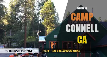 Exploring the Hidden Gem: Camp Connell, California's Best Kept Secret