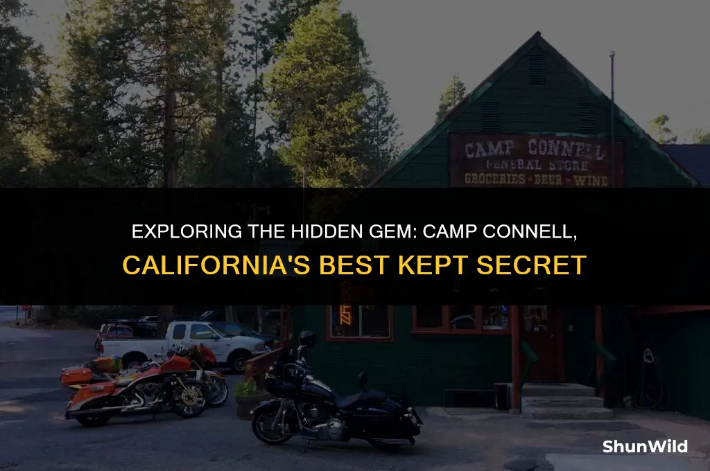 where is camp connell ca