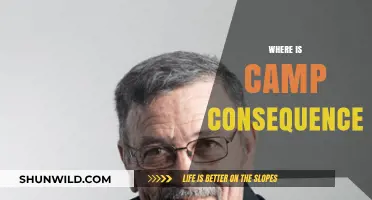 Unveiling the Mystery: The Elusive Location of Camp Consequence