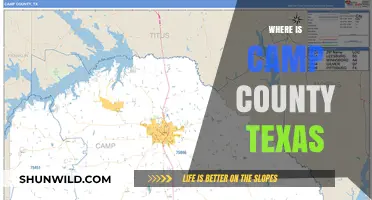 Exploring the Hidden Gem: Camp County, Texas Unveiled