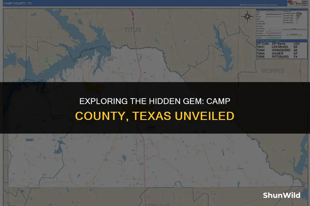 where is camp county texas