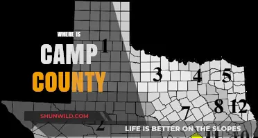 Exploring the Hidden Gem: Camp County's Surprising Location Revealed