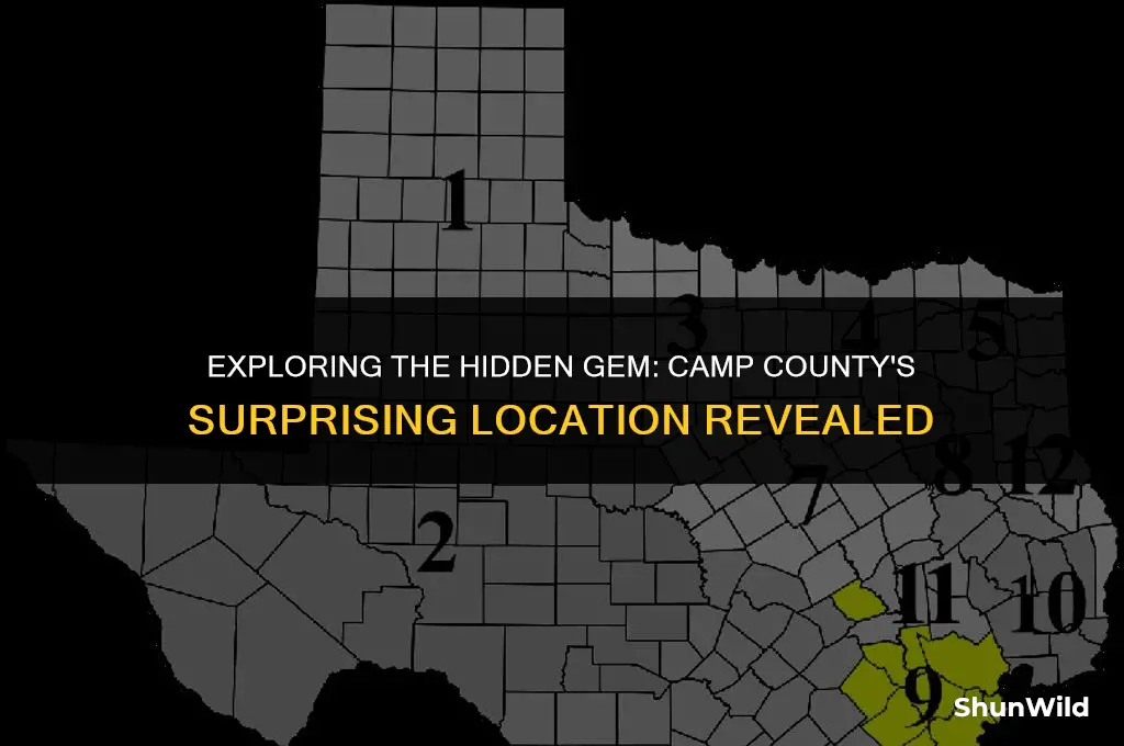 where is camp county