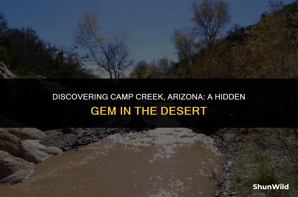 where is camp creek arizona