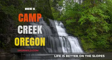 Exploring Camp Creek: A Hidden Gem in Oregon's Wilderness