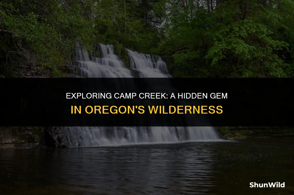 where is camp creek oregon