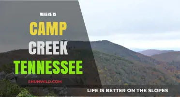 Exploring the Hidden Gem: Camp Creek, Tennessee Unveiled