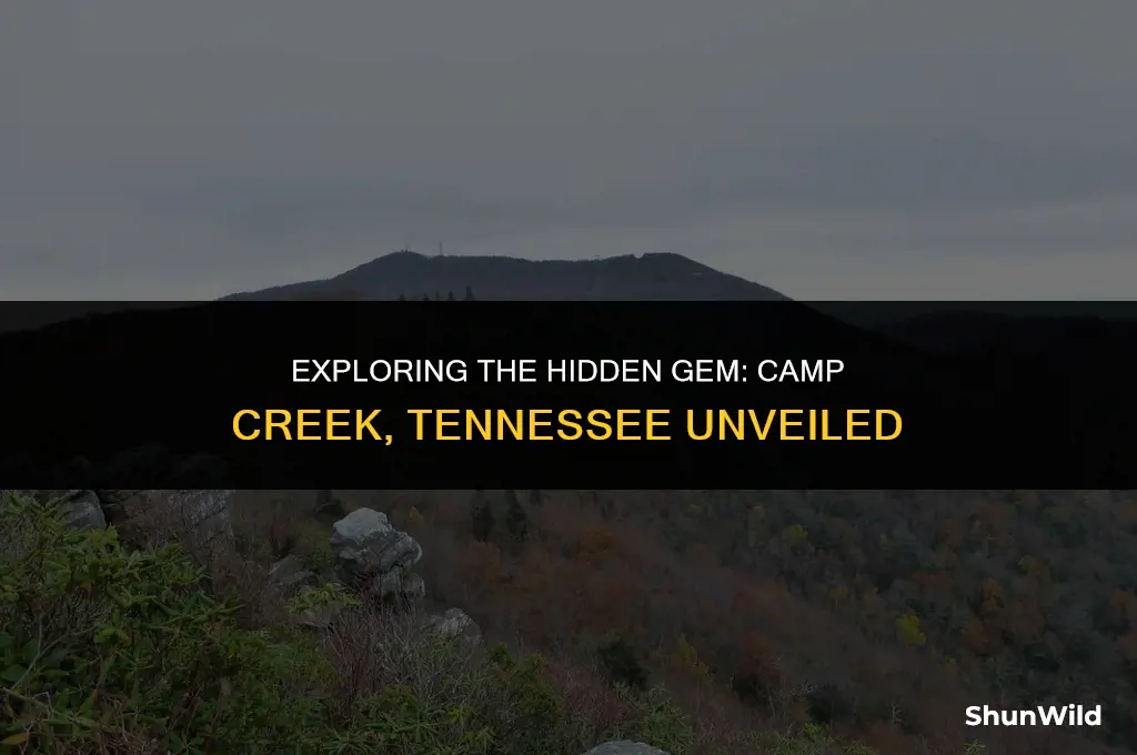 where is camp creek tennessee