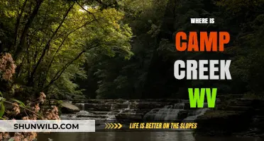 Exploring the Hidden Gem: Camp Creek, WV - Your Next Adventure Awaits!