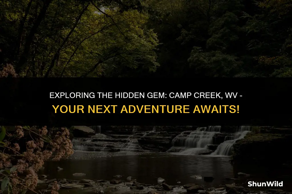 where is camp creek wv
