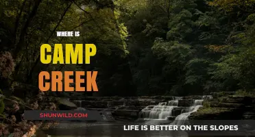 Exploring the Hidden Gem: Camp Creek's Serene Escape